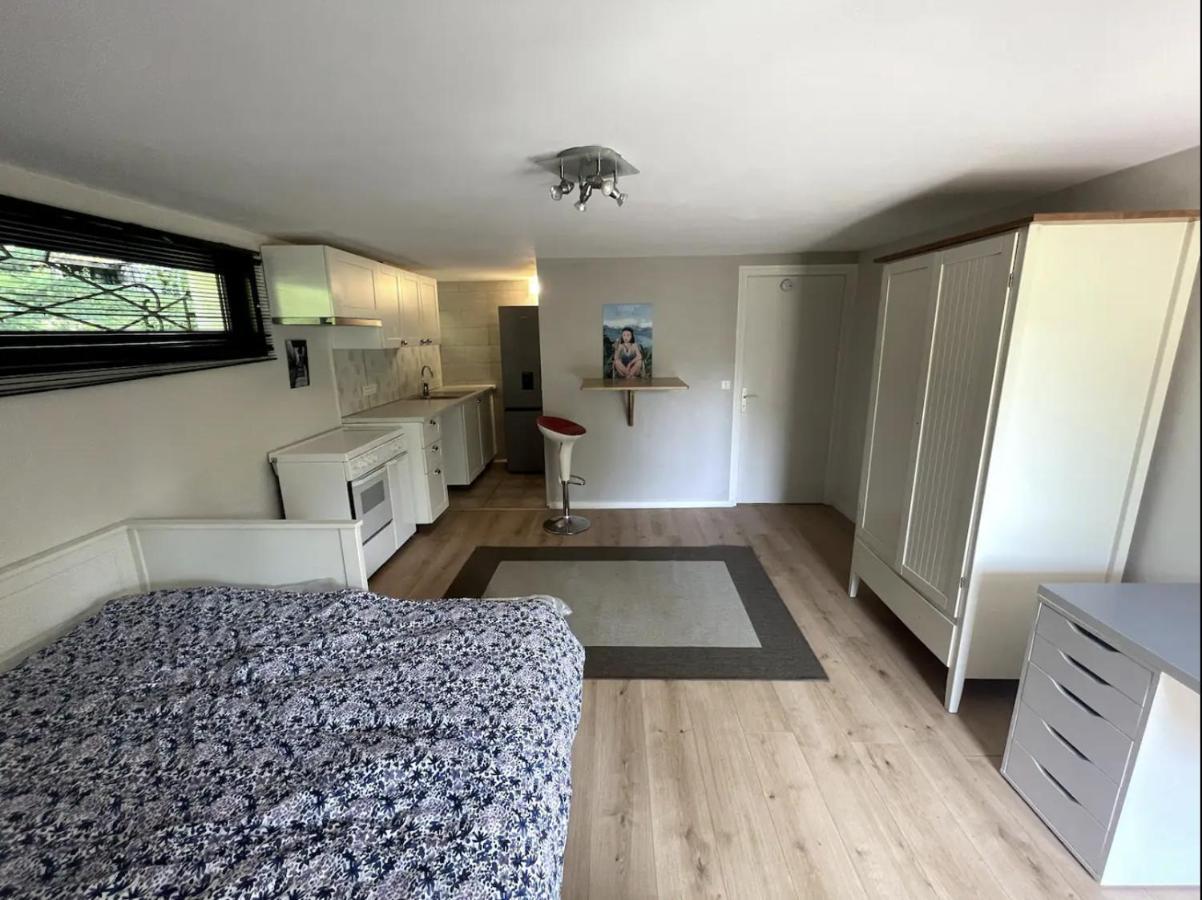 Quiet Studio In A House In Sevrier Annecy Lake Very Close To The Lake 외부 사진
