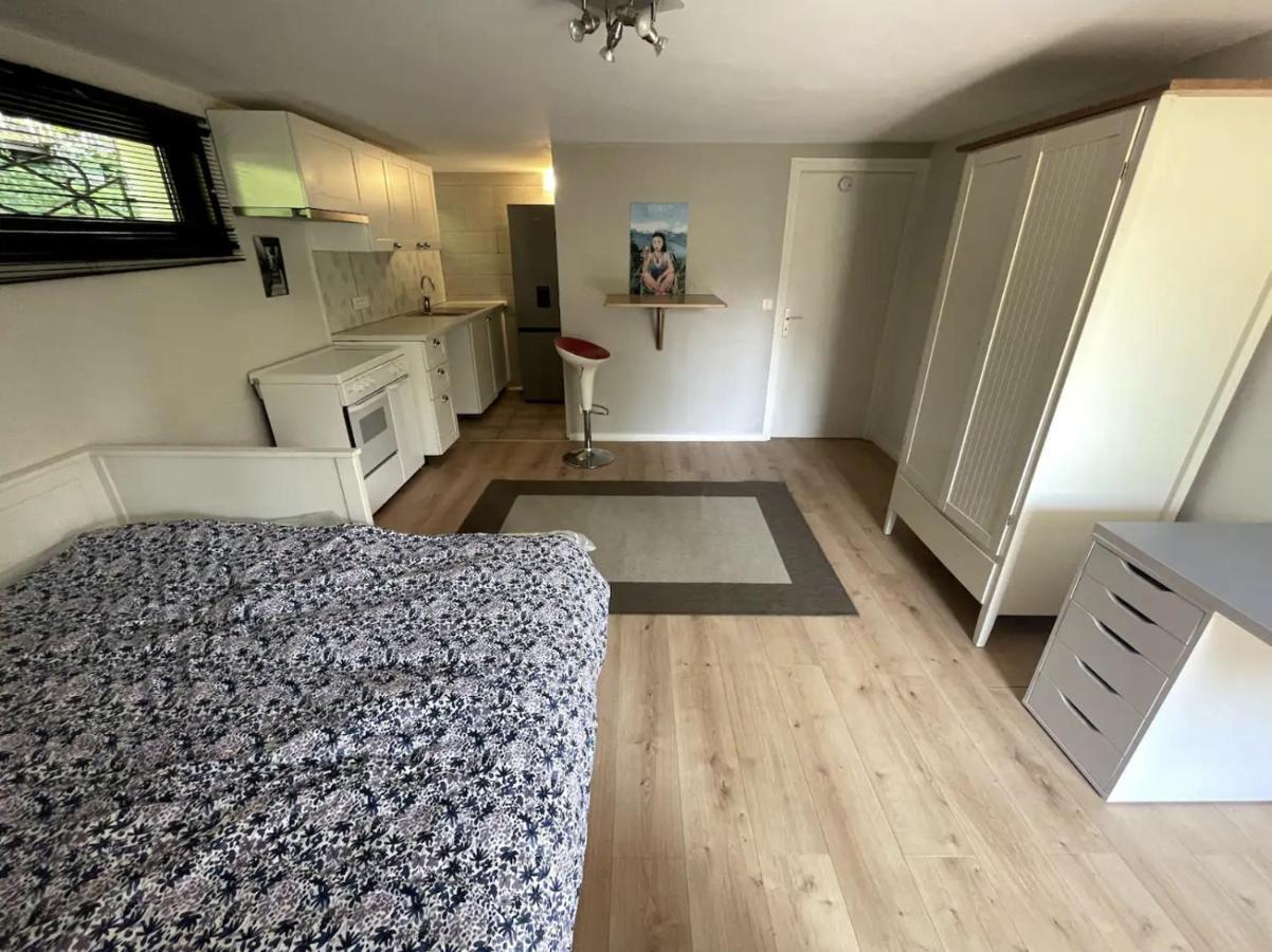Quiet Studio In A House In Sevrier Annecy Lake Very Close To The Lake 외부 사진